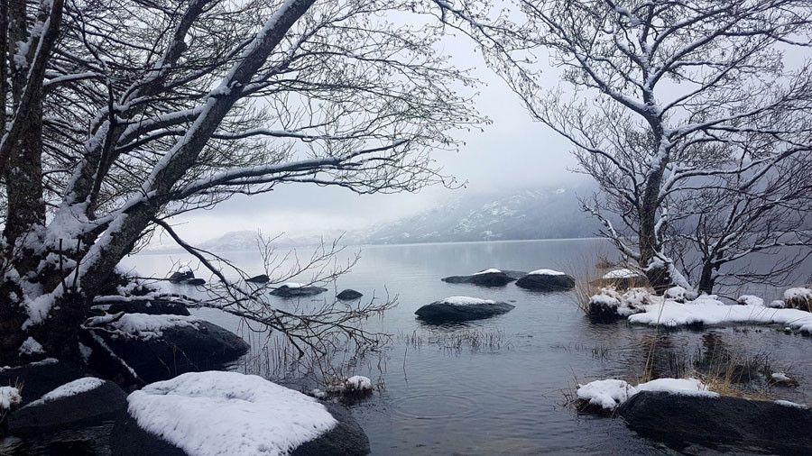 Lago de sanabria nevado
