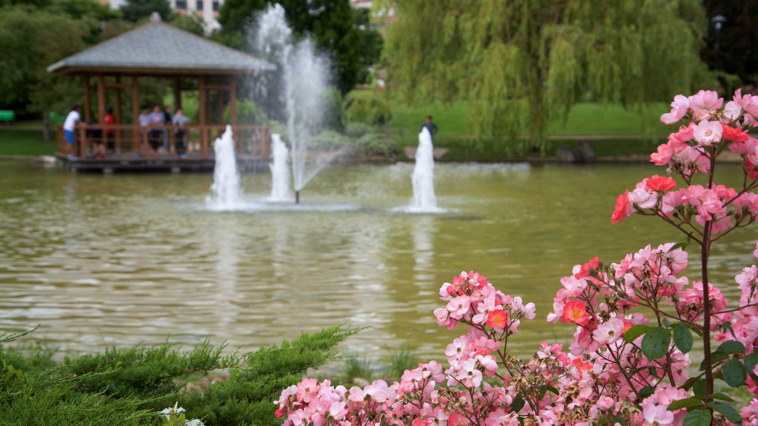 pamplona parque yamaguchi