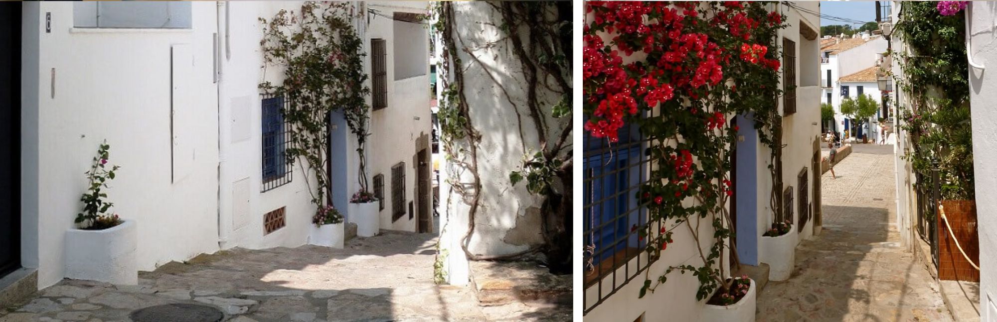 Qué ver en Calella de Palafrugell