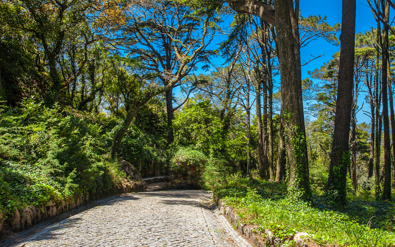 Excursión a Sintra desde Lisboa