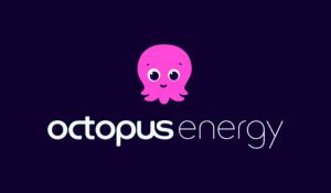 OFERTAS OCTOPUS ENERGY