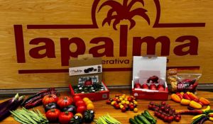 ofertas cooperativa la palma