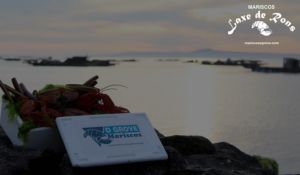 OFERTAS MARISCOS LAXE