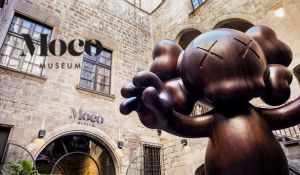 moco museum ofertas