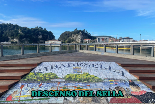 descenso del sella
