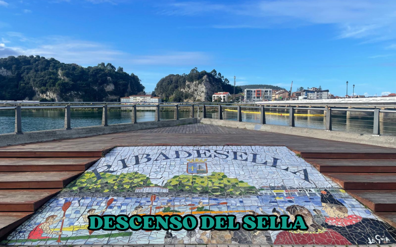 descenso del sella