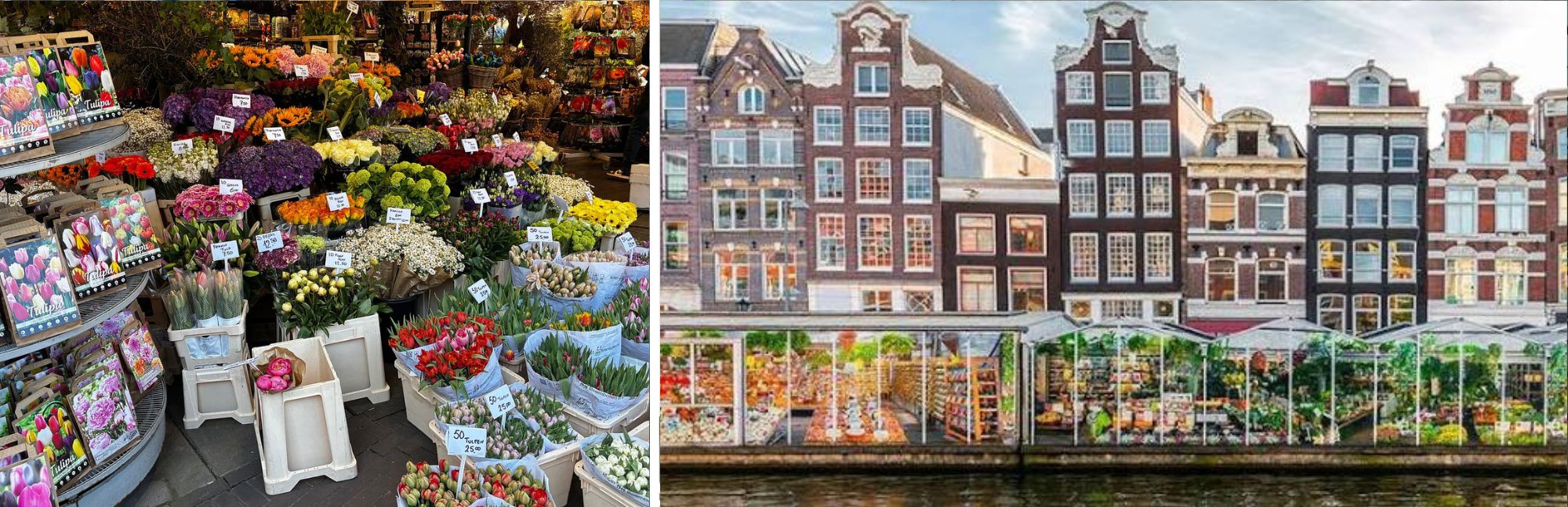 Qué ver en Ámsterdam
