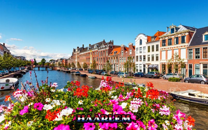 Qué ver en Haarlem