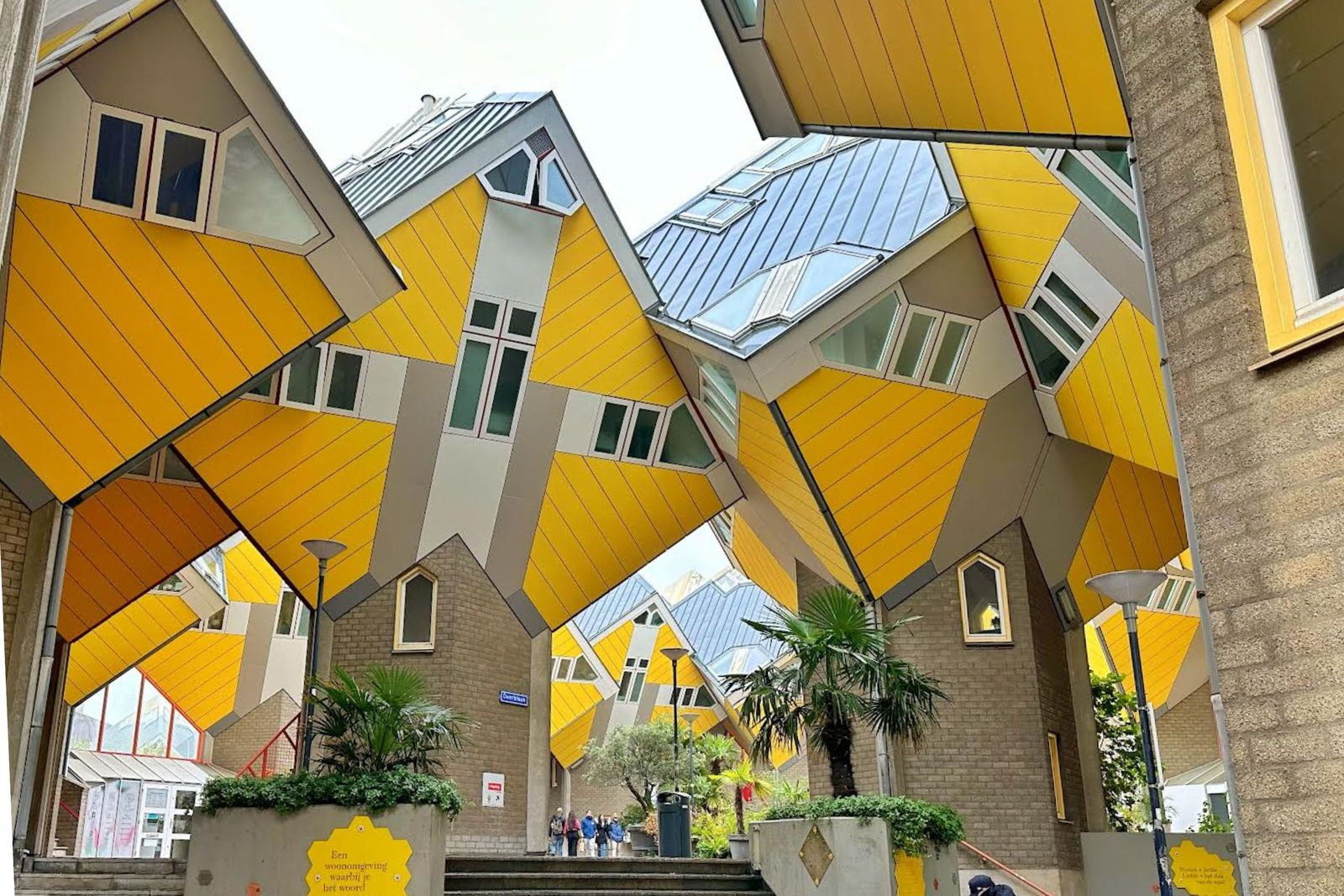 Qué ver en Rotterdam