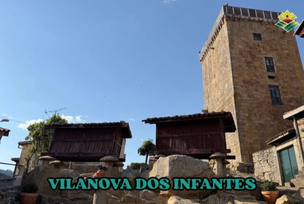 Qué ver en Vilanova dos Infantes
